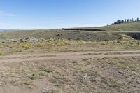 an area with dirt, rocks and yellow flowers and an area with brown grass and small bushes