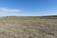 an area with dirt, rocks and yellow flowers and an area with brown grass and small bushes