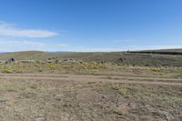 an area with dirt, rocks and yellow flowers and an area with brown grass and small bushes