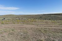 an area with dirt, rocks and yellow flowers and an area with brown grass and small bushes