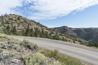 a large rock with trees near a mountainside and the road has gravel on it