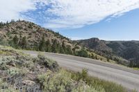 a large rock with trees near a mountainside and the road has gravel on it