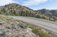 a large rock with trees near a mountainside and the road has gravel on it