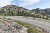 a large rock with trees near a mountainside and the road has gravel on it