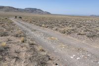 Off-Road Track in the Colorado Desert 001