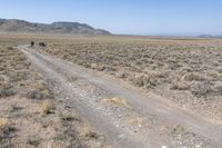 Off-Road Track in the Desert: Colorado 002