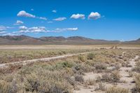 a dirt road leads through an open desert landscape in the distance is a mountains, and blue skies with scattered clouds