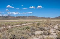 a dirt road leads through an open desert landscape in the distance is a mountains, and blue skies with scattered clouds