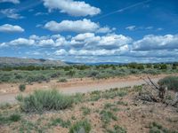 a dirt road with clouds and brush on the side and a sign posted on the side