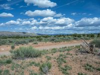 Off-Road Track: Dirt and Gravel Streets