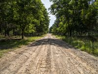 a dirt road in the middle of a forest area under a large blue sky and clouds