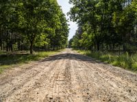 a dirt road in the middle of a forest area under a large blue sky and clouds