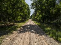 a dirt road in the middle of a forest area under a large blue sky and clouds