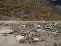 rocks are strewn across the sandy area with mountains in the background by some rocks and boulders