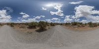 a view of a road and trees in a panoramic view mirror, in the desert