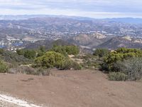 the road runs through a small wooded area by a mountain with a view of town in the distance