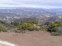 the road runs through a small wooded area by a mountain with a view of town in the distance