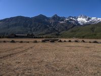 Off Road Track in Grass Surface Highlands