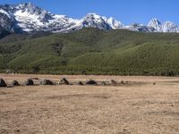 Off Road Track in Grass Surface Highlands