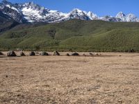 Off Road Track in Grass Surface Highlands