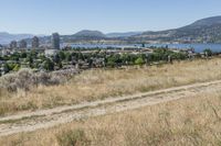 a person riding a bike up a hill with a city skyline and lake in the background