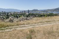 a person riding a bike up a hill with a city skyline and lake in the background