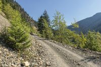 a dirt road with some trees and rocks in the background and a mountain in the distance