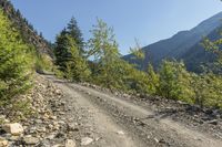 a dirt road with some trees and rocks in the background and a mountain in the distance