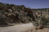 a dirt road is shown with rock formations in the background at a scenic distance and a few plants are growing