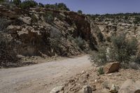 a dirt road is shown with rock formations in the background at a scenic distance and a few plants are growing