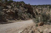 a dirt road is shown with rock formations in the background at a scenic distance and a few plants are growing