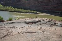 a couple of horses graze on the rock near a river shore area in colorado