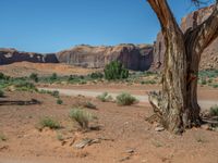 Off-Road Track in Monument Valley, Arizona, USA