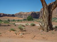 Off-Road Track in Monument Valley, Arizona, USA