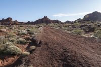 Off-Road Track: Exploring the Mountain Landscape of Nevada