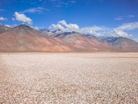 a lone horse stands on the desert near the mountains in the distance, with a cloudless sky