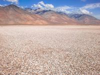 a lone horse stands on the desert near the mountains in the distance, with a cloudless sky