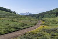 Off-Road Adventure: Exploring the Mountain Valleys of Colorado