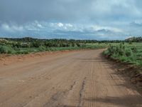 Off-Road Track: Exploring Nature Under a Clear Sky