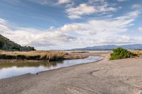 an empty beach with grass and weeds next to it near water and mountains with blue sky