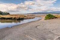 an empty beach with grass and weeds next to it near water and mountains with blue sky