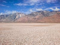 a lone bird sitting on the ground by the mountains of a desert area with pebbles on top