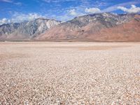 a lone bird sitting on the ground by the mountains of a desert area with pebbles on top