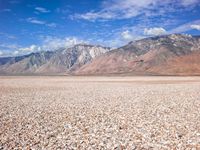 a lone bird sitting on the ground by the mountains of a desert area with pebbles on top