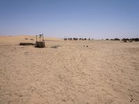 Off-road track in the Sahara Desert landscape