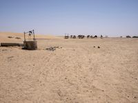 Off-road track in the Sahara Desert landscape