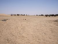 Off-road track in the Sahara Desert landscape