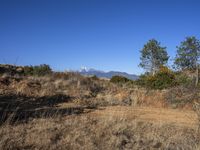 Off-Road Track in Shangri-La, China