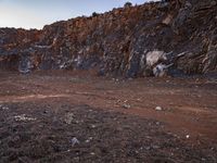 a cow in the wilderness next to rocks and grass, at sunset with clear skies