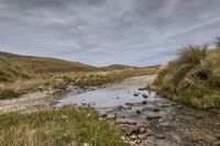 Off-Road Track in South Island, New Zealand 001